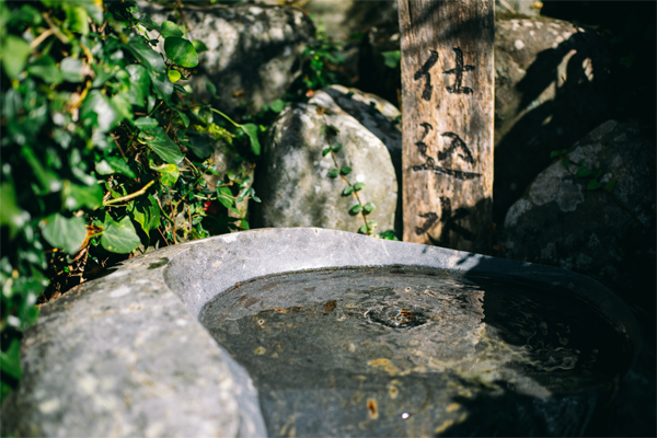 石で囲まれた湧き水が溜まる水場。木製の看板に「仕込み水」と書かれている。