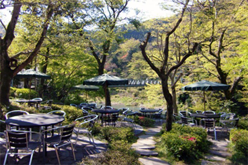 清流ガーデン 澤乃井園のテラス席と自然の風景