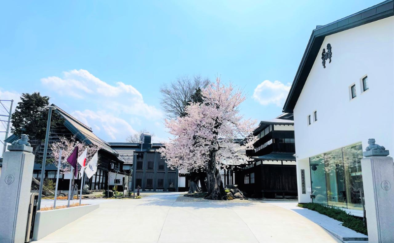 十四代の歴史やブランドの背景を解説する画像。高木酒造の創業背景を紹介